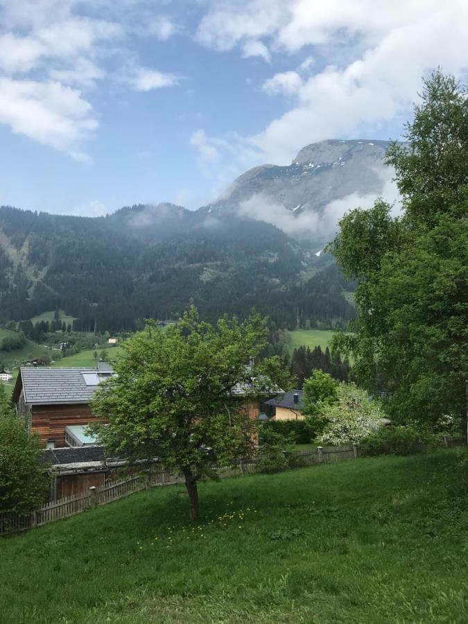 Ferienwohnung Steuer 59 App 5 Annaberg im Lammertal Exterior foto
